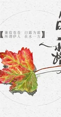 节气白露风格的设计素材