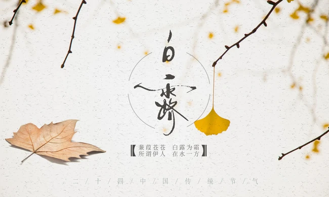 节气白露风格的设计素材