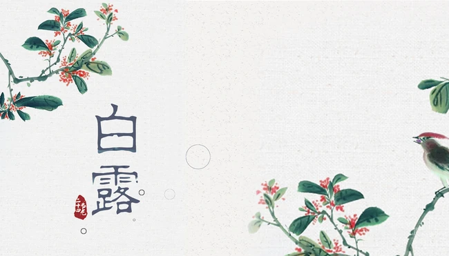 节气白露风格的设计素材