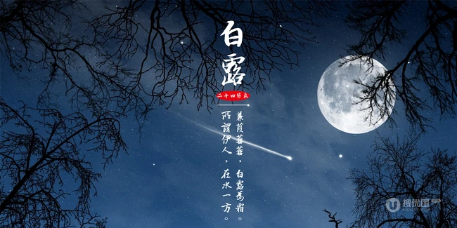 节气白露风格的设计素材
