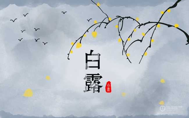 节气白露风格的设计素材