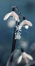 二十四节气&ldquo;寒露&rdquo;设计素材合集