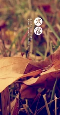 二十四节气&ldquo;寒露&rdquo;设计素材合集