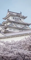 日本传统标志性建筑前的樱花手机壁纸