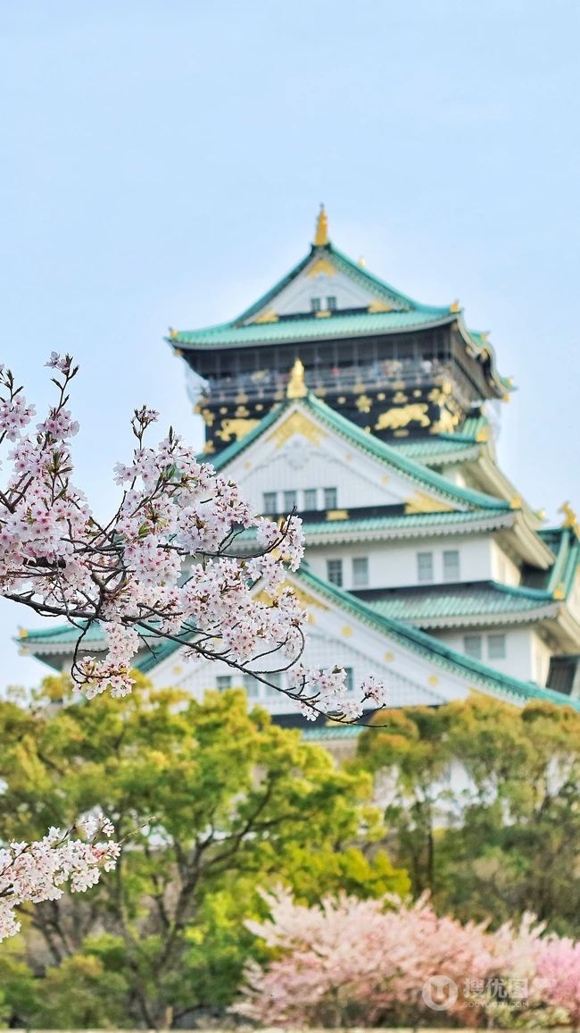 日本传统标志性建筑前的樱花手机壁纸
