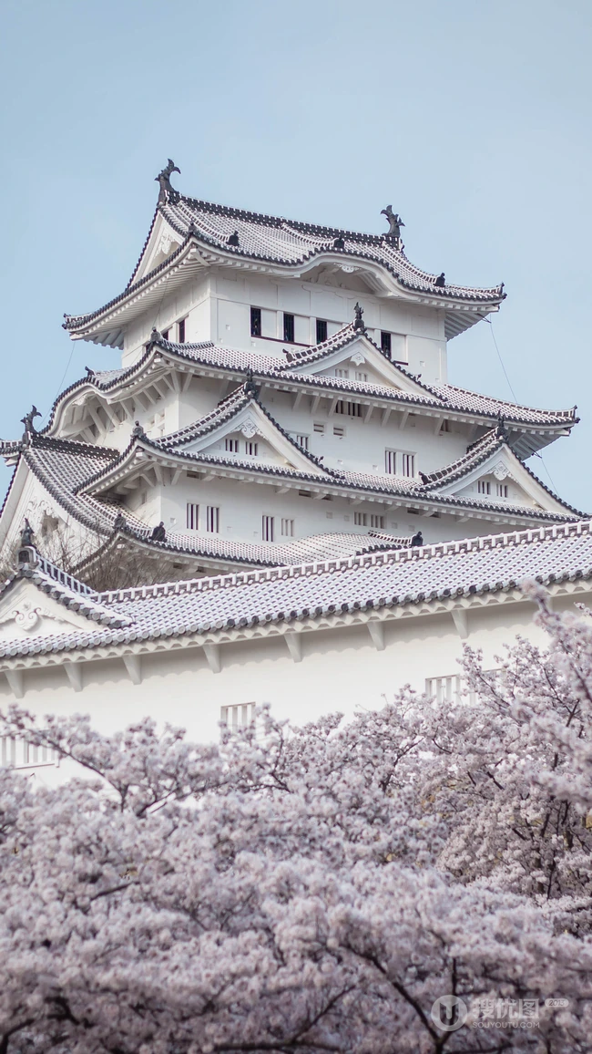 日本传统标志性建筑前的樱花手机壁纸