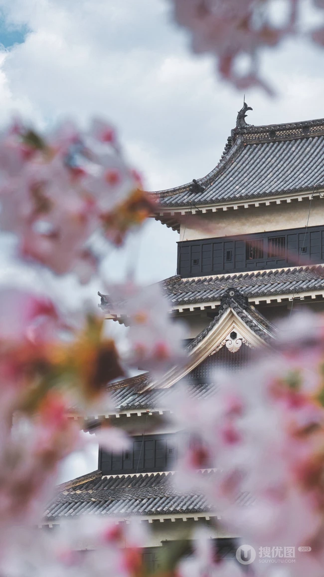 日本传统标志性建筑前的樱花手机壁纸