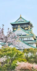 日本传统标志性建筑前的樱花手机壁纸