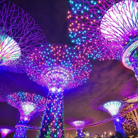 巨大的灯树，新加坡滨海湾花园唯美夜景图片