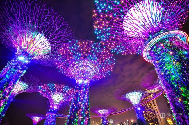 巨大的灯树，新加坡滨海湾花园唯美夜景图片