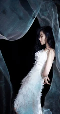 张天爱如梦如烟绝美写真，身穿羽毛长裙，仿若从从云中而来