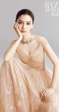 angelababy华贵优雅服装写真大片登杂志美照