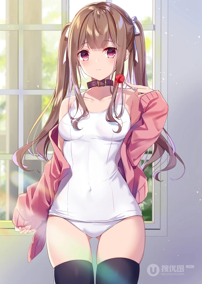 棕色双马尾动漫少女，那些可爱又气质的二次元刷马尾女孩高清图集
