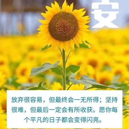 早安暖心话心语图片，2020年6月22星期一专属早安暖心话文字图片