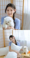 甜甜的麻花辫女孩和她的茶杯犬温馨唯美居家写真图片