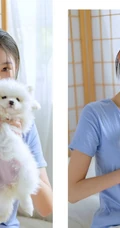 甜甜的麻花辫女孩和她的茶杯犬温馨唯美居家写真图片