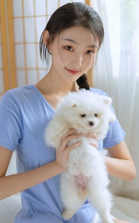 甜甜的麻花辫女孩和她的茶杯犬温馨唯美居家写真图片