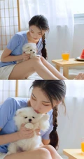 甜甜的麻花辫女孩和她的茶杯犬温馨唯美居家写真图片