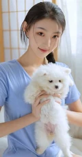 甜甜的麻花辫女孩和她的茶杯犬温馨唯美居家写真图片
