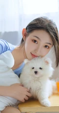 甜甜的麻花辫女孩和她的茶杯犬温馨唯美居家写真图片