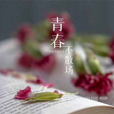 青春不散场文字头像，感伤，感怀青春的记忆，简洁毕业季文字头像图片