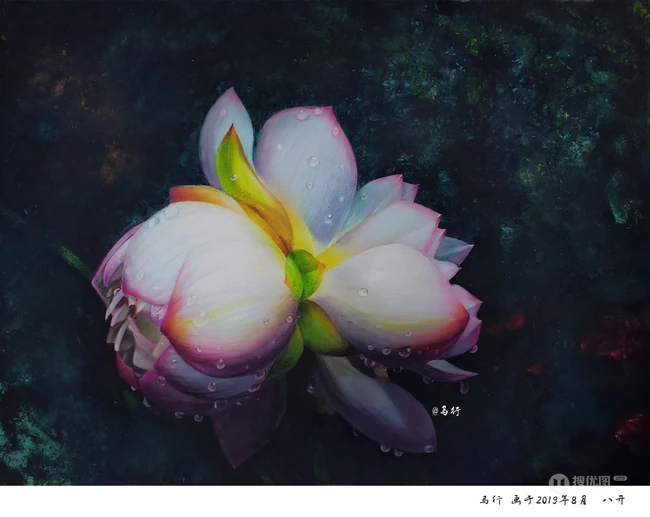 一茎两花，花开并蒂，多种好看美丽的并蒂莲花图片