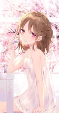 如梦似幻的樱花少女，二次元动漫少女和樱花的故事唯美高清图集
