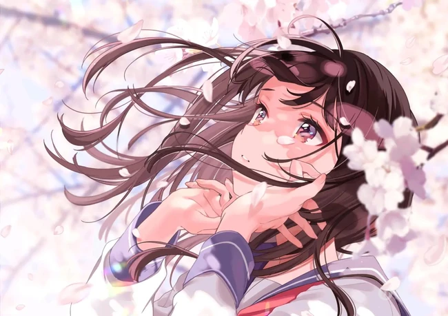 如梦似幻的樱花少女，二次元动漫少女和樱花的故事唯美高清图集
