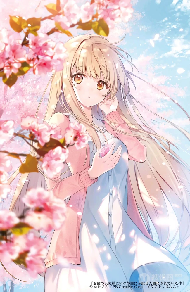 如梦似幻的樱花少女，二次元动漫少女和樱花的故事唯美高清图集