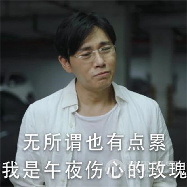 爬山吗？秦昊高分神剧《隐秘的角落》精选表情包带文字图片 第6张
