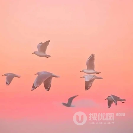 一看就舒心、舒适，淡淡小清新的唯美景物，人物头像图片