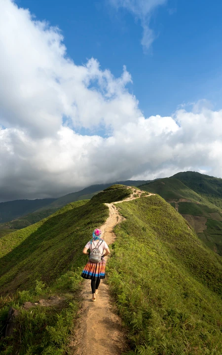 山顶小路等风景高清手机壁纸，走在上面一定心旷神怡。