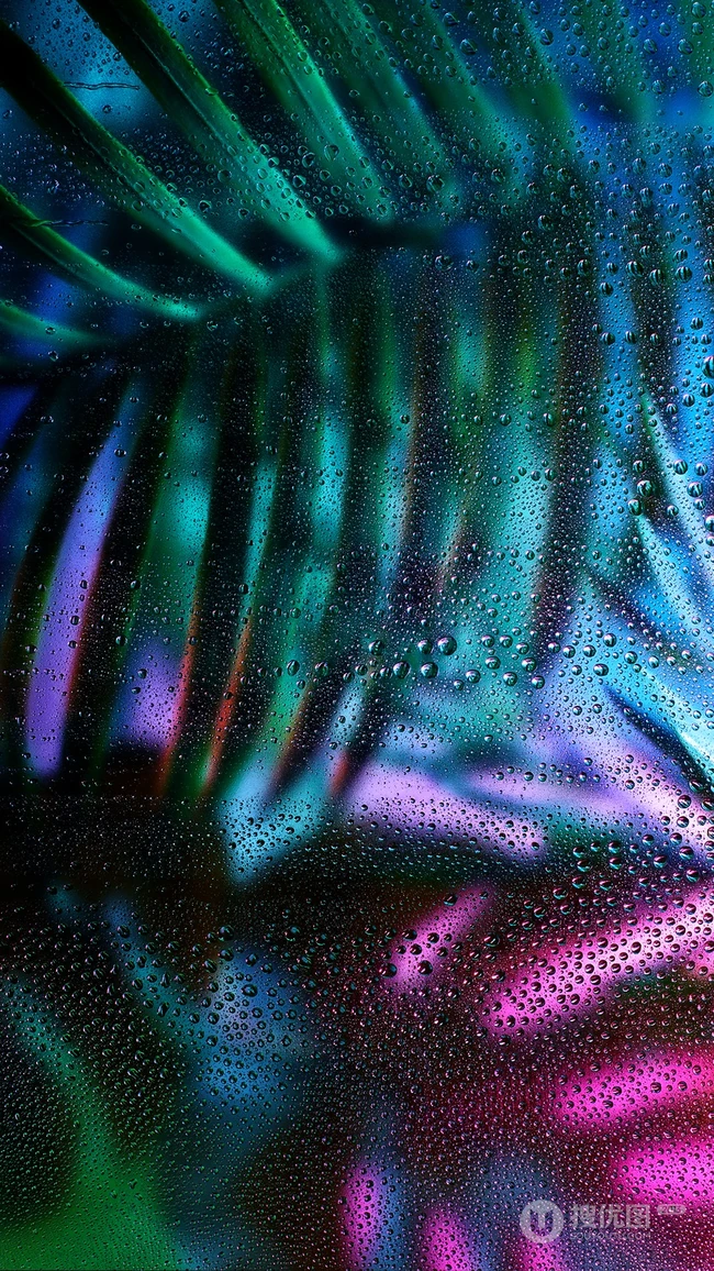 透过露水玻璃看绿叶的唯美植物手机壁纸