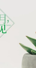 以室内绿植，多肉，盆栽等植物为背景的6月再见小清新壁纸图片