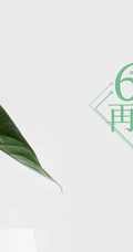 以室内绿植，多肉，盆栽等植物为背景的6月再见小清新壁纸图片