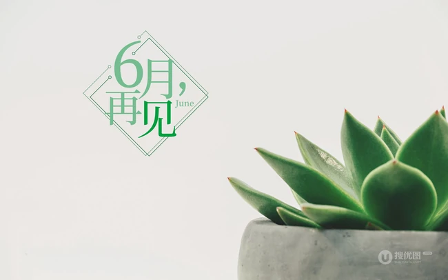 以室内绿植，多肉，盆栽等植物为背景的6月再见小清新壁纸图片