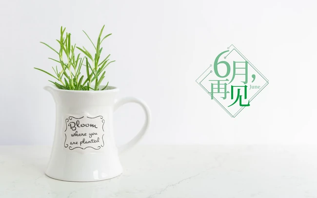 以室内绿植，多肉，盆栽等植物为背景的6月再见小清新壁纸图片