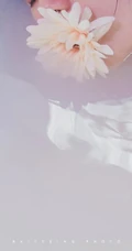 牛奶浴，穿着轻纱睡裙的女孩在浴缸唯美清透艺术摄影摄影图集