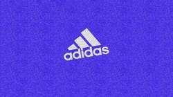 著名运动品牌&ldquo;Adidas&rdquo;LOGO，产品桌面壁纸