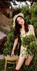夏日，赵丽颖在小树林，身穿清新小雏菊连衣裙可爱复古写真照