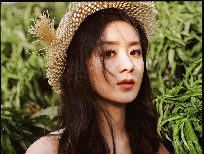 夏日，赵丽颖在小树林，身穿清新小雏菊连衣裙可爱复古写真照