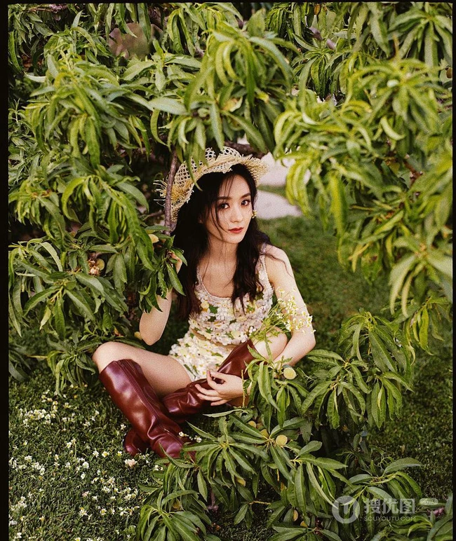 夏日，赵丽颖在小树林，身穿清新小雏菊连衣裙可爱复古写真照