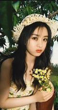夏日，赵丽颖在小树林，身穿清新小雏菊连衣裙可爱复古写真照