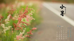 2020年7月日历壁纸，以唯美景物为背景的二十四节气之小暑日历壁纸