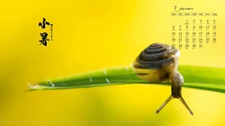 2020年7月日历壁纸，以唯美景物为背景的二十四节气之小暑日历壁纸