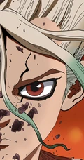稻垣理一郎原作&ldquo;石纪元（Dr.STONE）&rdquo;主角手机壁纸