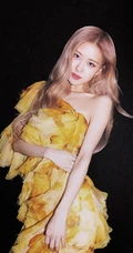 BLACKPINK成员rose朴彩英气质舞台照，生活照，写真图片合集