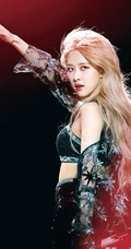 BLACKPINK成员rose朴彩英气质舞台照，生活照，写真图片合集