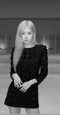 BLACKPINK成员rose朴彩英气质舞台照，生活照，写真图片合集