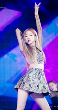 BLACKPINK成员rose朴彩英气质舞台照，生活照，写真图片合集